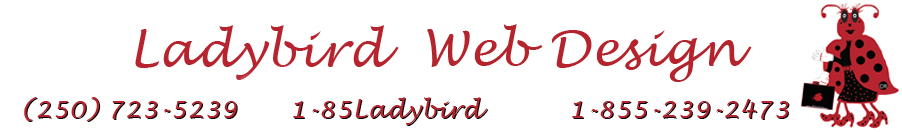 ladybird web design Port McNeill